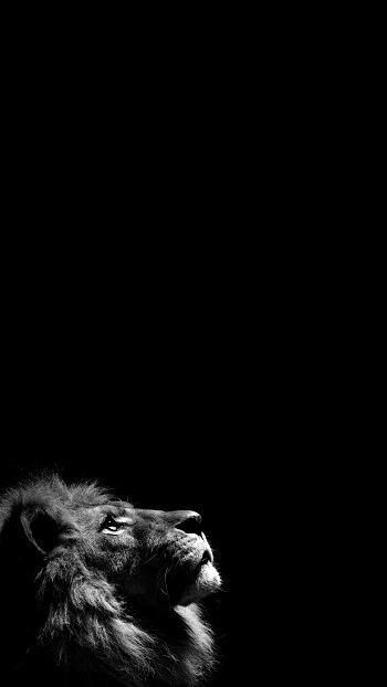 user banner