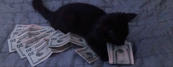 user banner