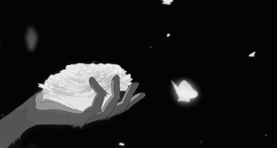 user banner