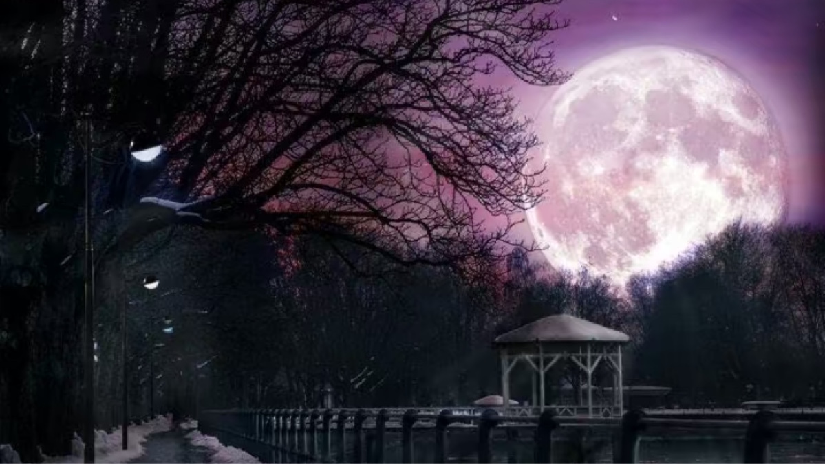 user banner