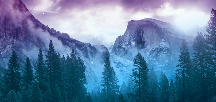 user banner