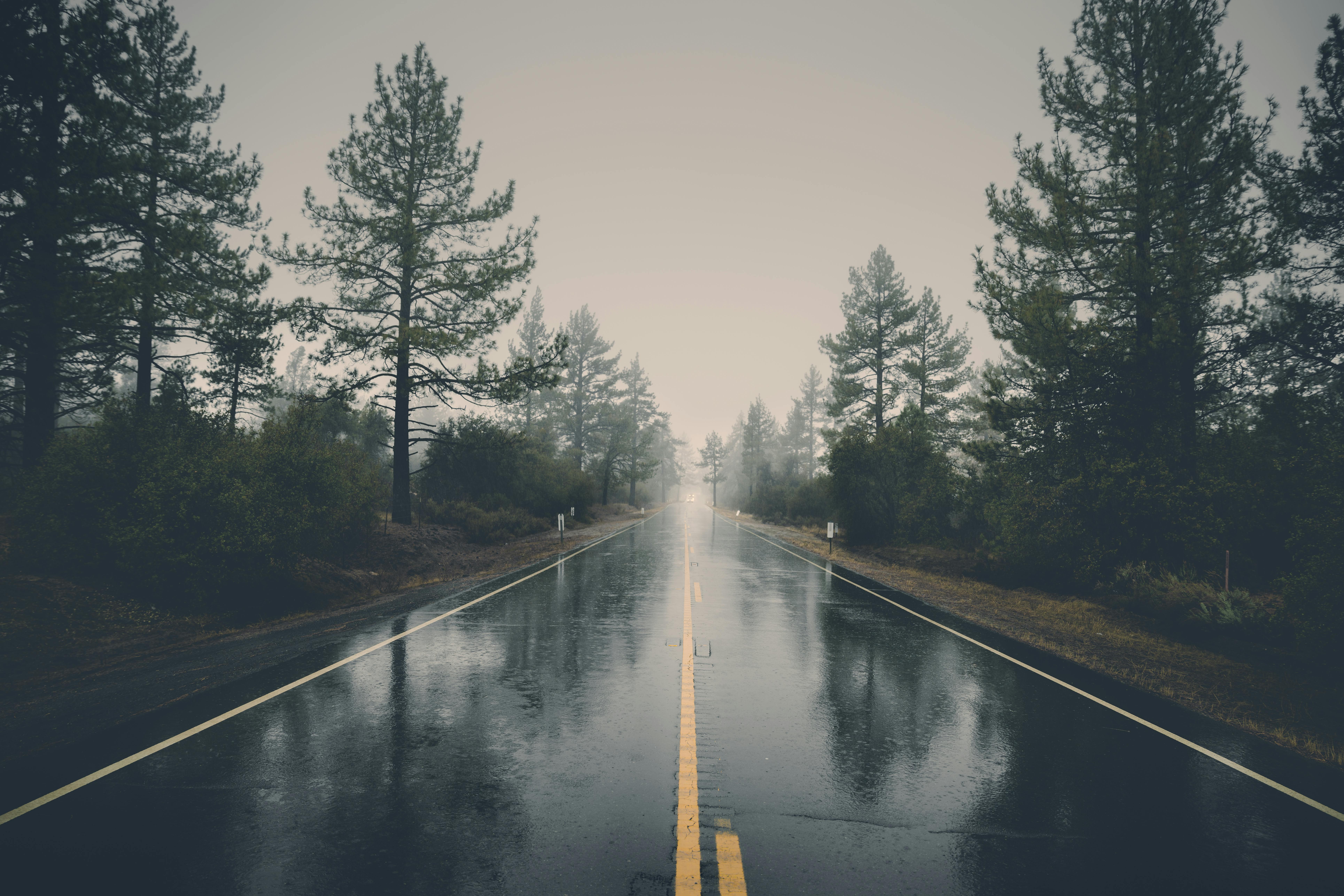 user banner