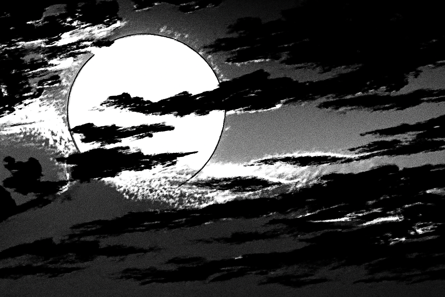 user banner