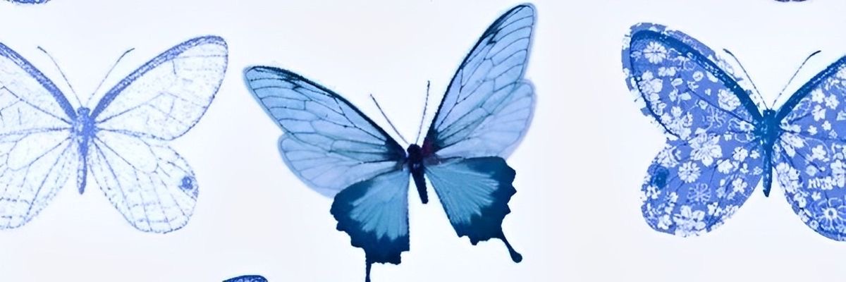 user banner