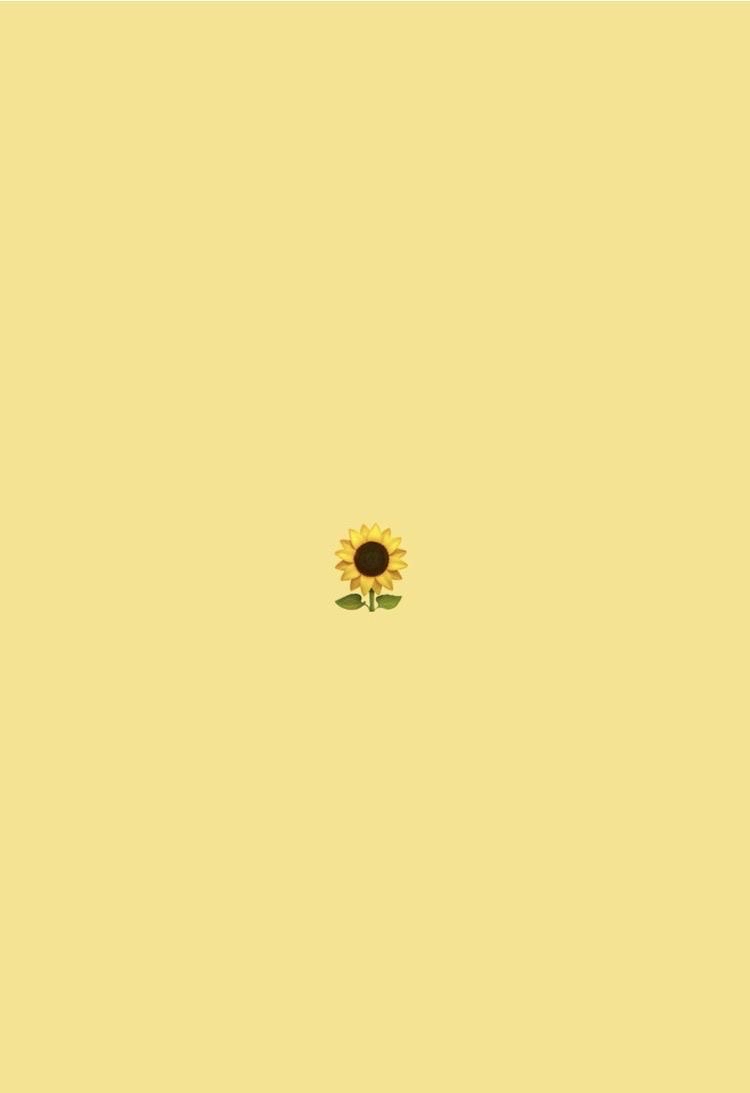 cover-01
