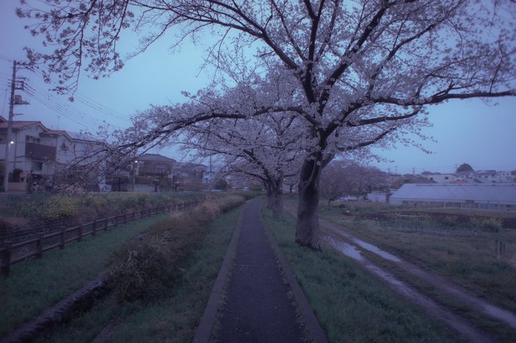 user banner