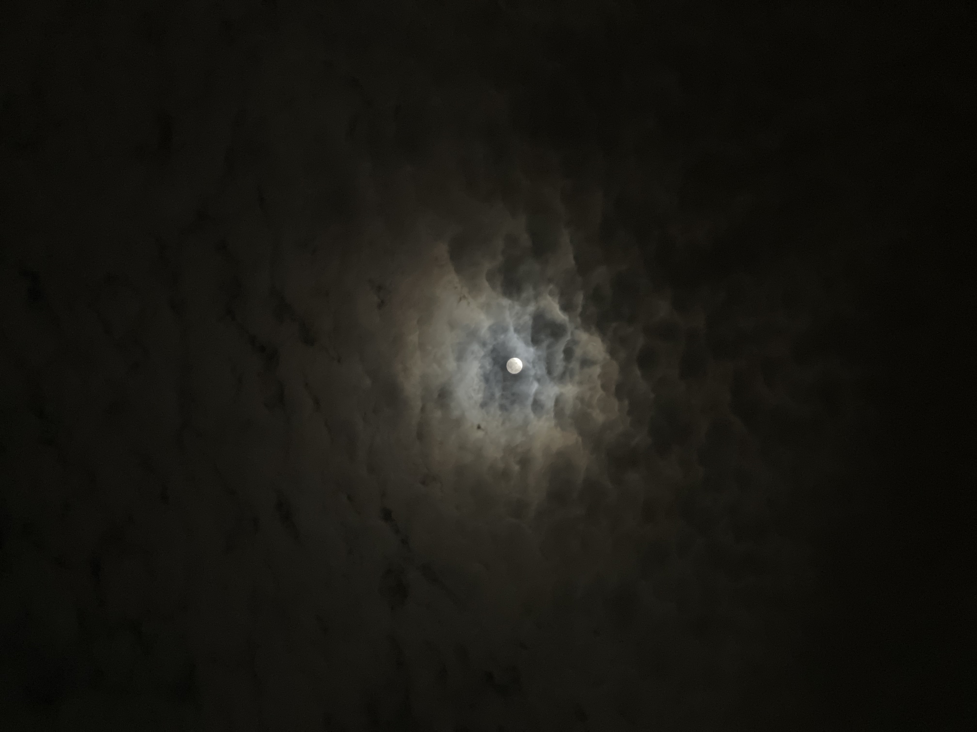 user banner