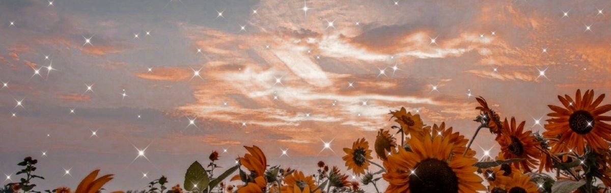 user banner