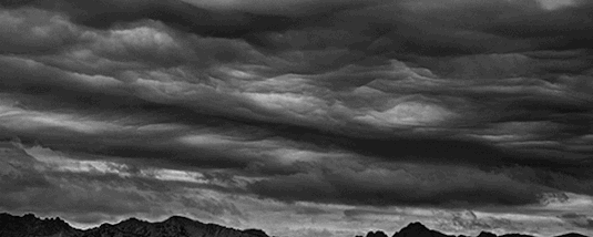 user banner