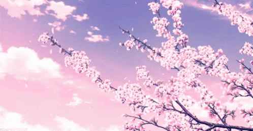cover-01