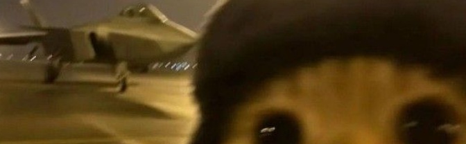 user banner