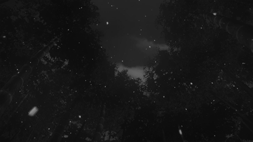 user banner