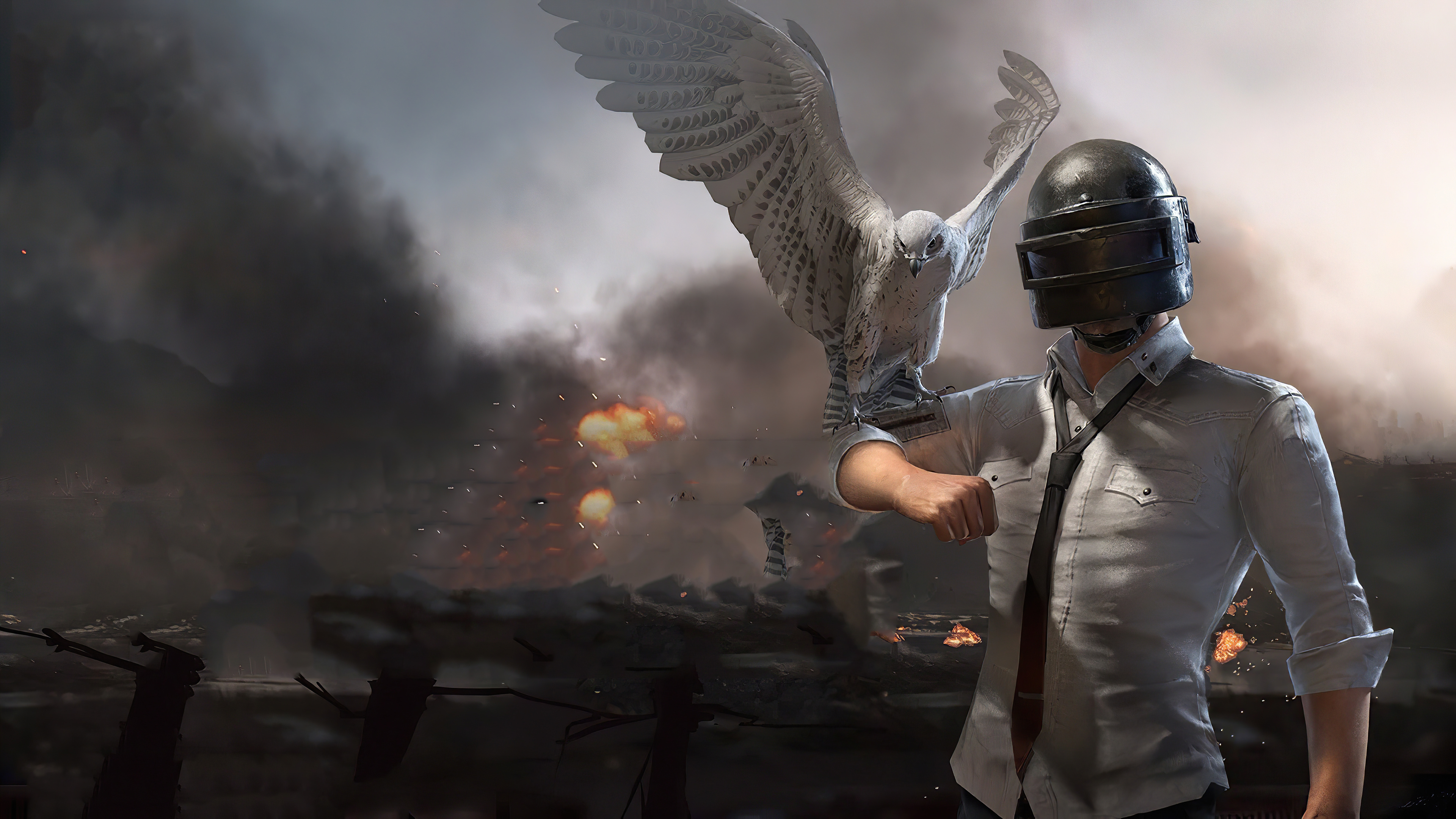 Banner Image
