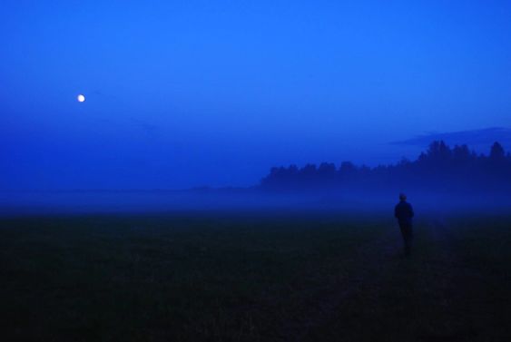 user banner