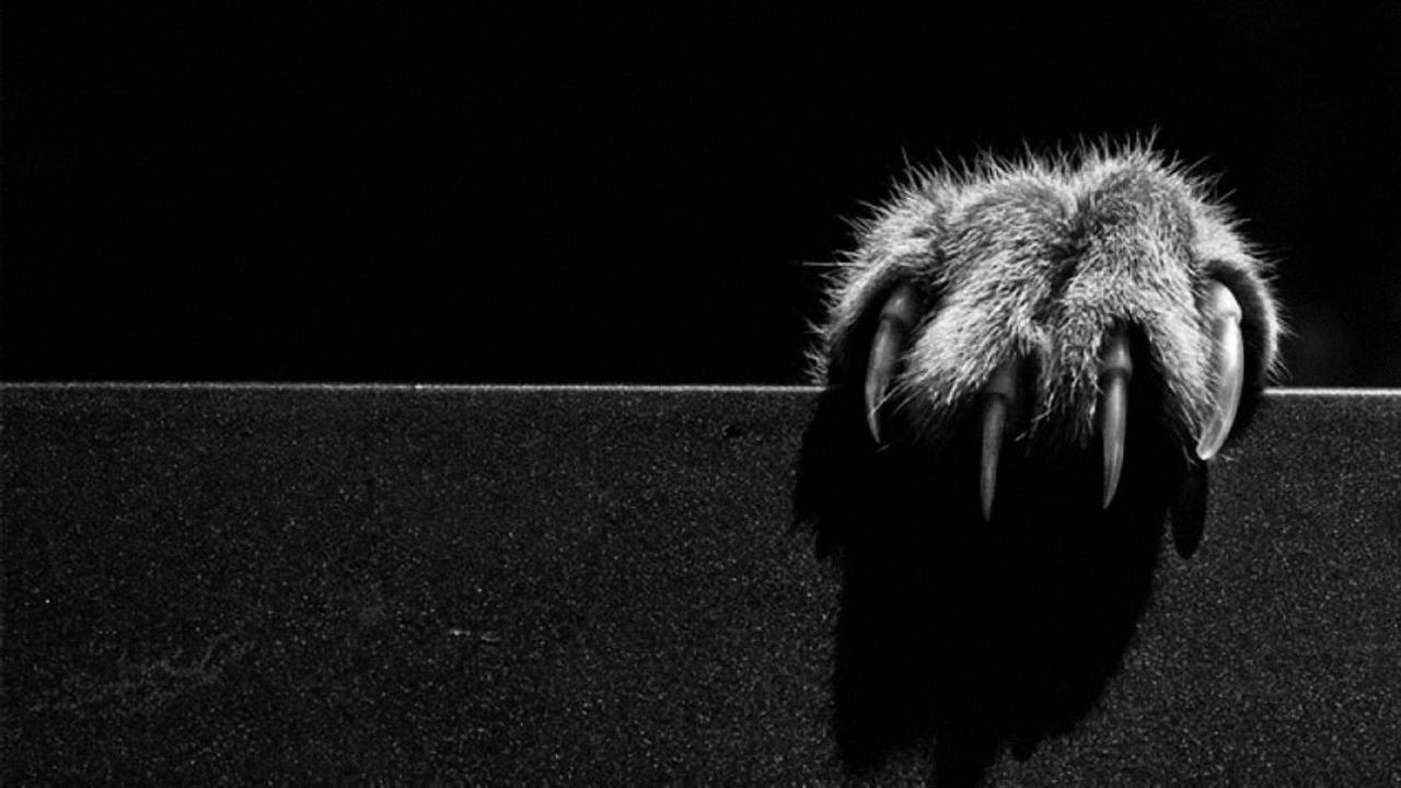 user banner